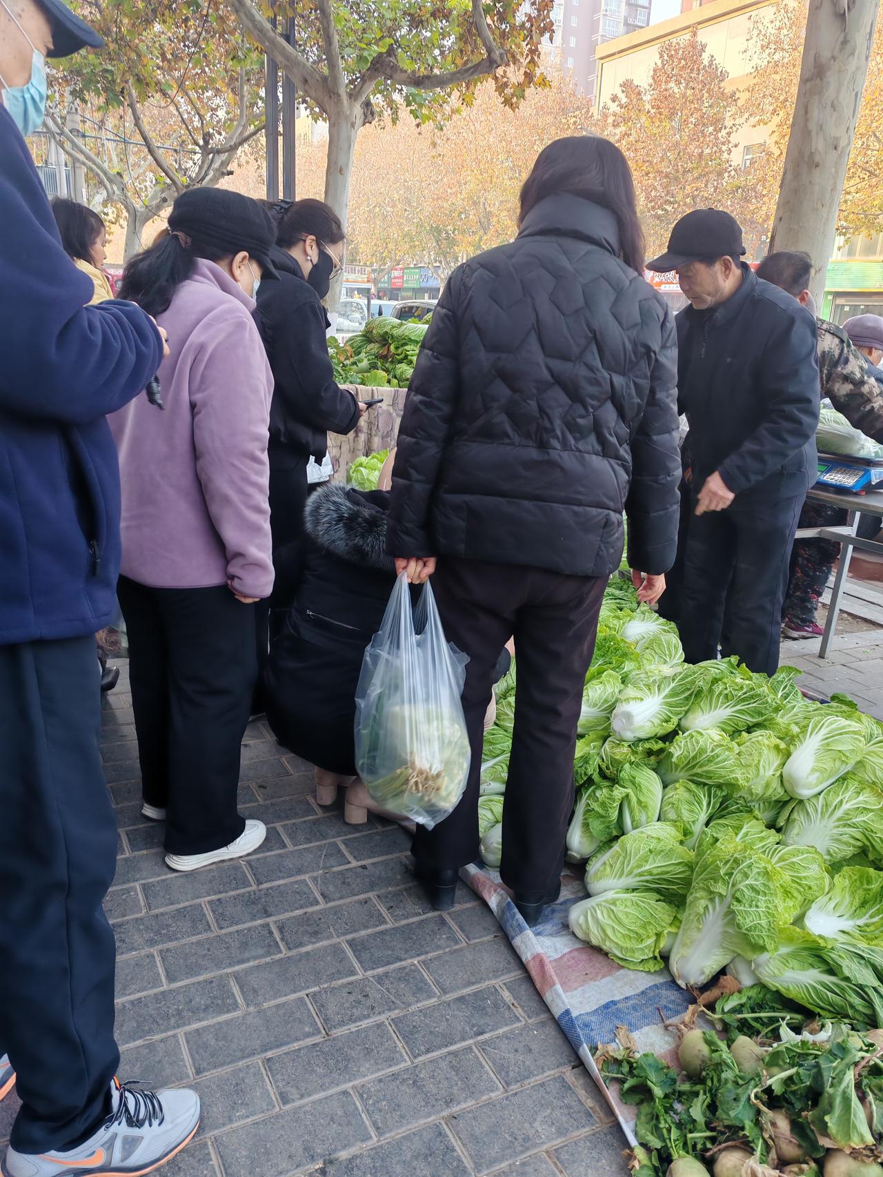 现在才真正理解
物以稀为贵，今年的白菜可不是白菜价了
12月11日，陕西西安。今