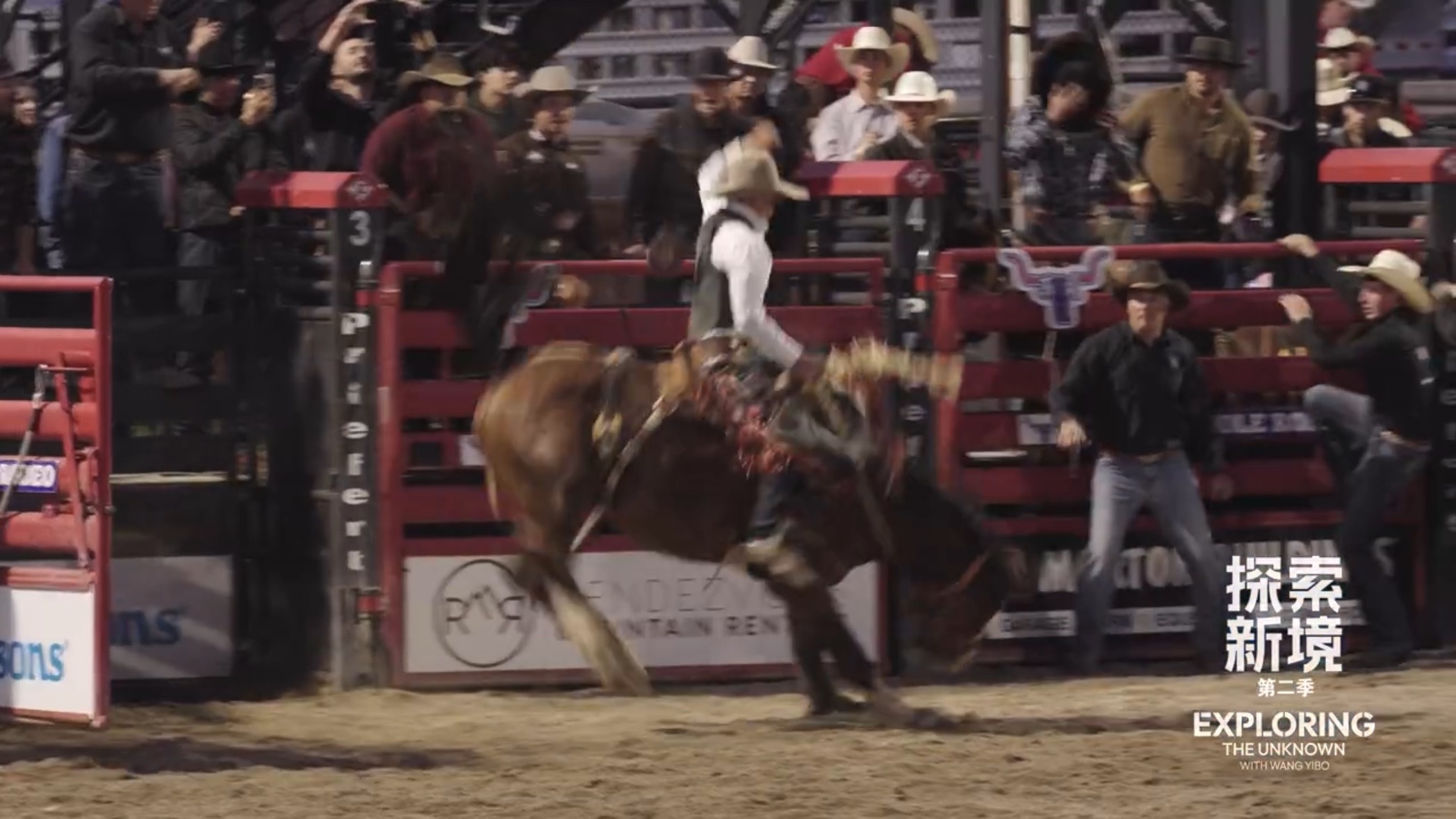 please tell me你们是去看的