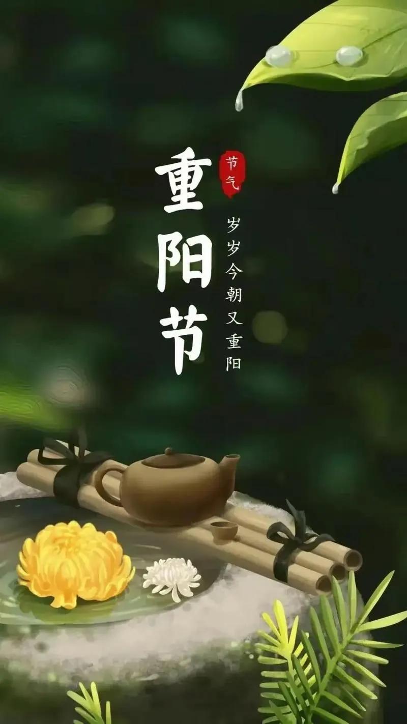 《沁园春·重阳》
 
九九重阳，金菊璀璨，丹枫傲霜。望乾坤广袤，斑斓画卷；江山壮