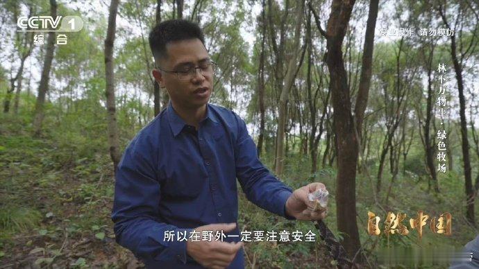 能晒太阳躲雨的仿生态蛇园啥样 永州山林异蛇栖，仿生态蛇园超贴心。室外绿植成景，晴