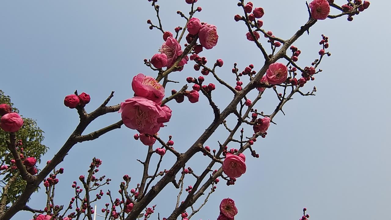 又逃过一劫。
今天凌晨，美国国会众议院以217：214票的投票结果，有惊无险的通