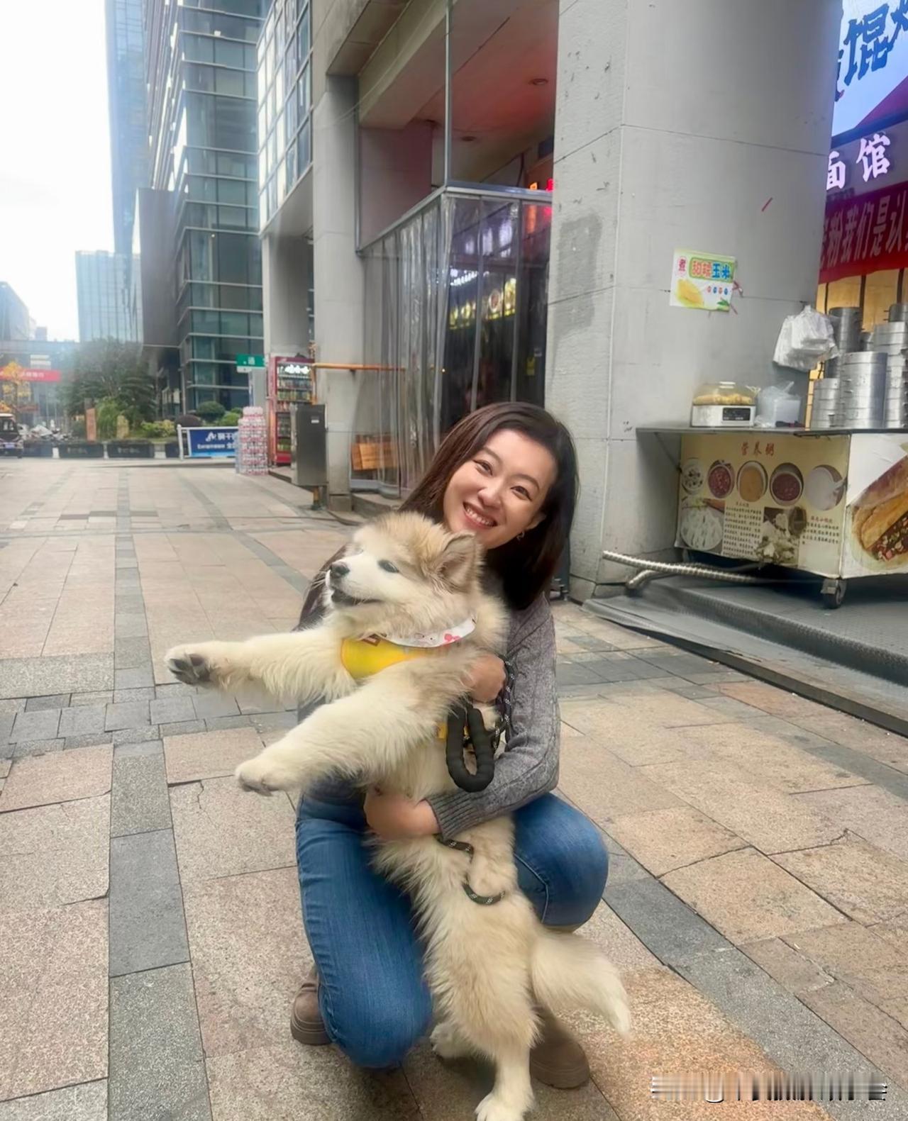 今日天气 适合遛狗  走起。。。遛狗照 遛狗随心情起舞 街头遛狗 春天里遛狗 美