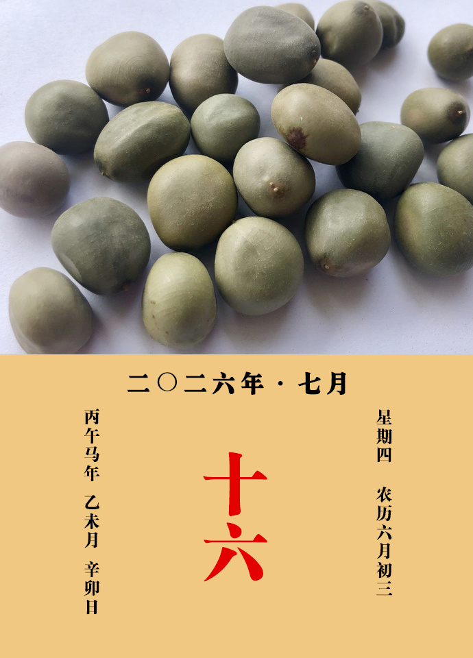 每天一味中草药 甄权说：云实能杀蛊毒，治疟，去腹中冷气，除痰饮积聚，破血瘕癖，消