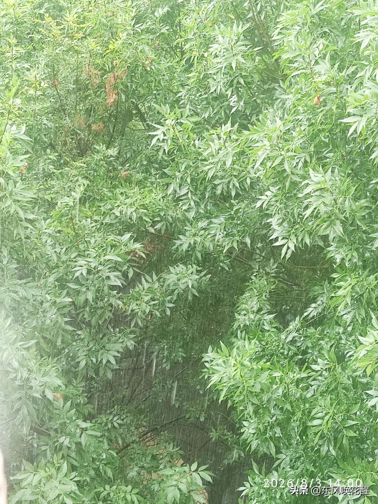 我的今日状态：😁轻松愉快
我这里的天气：☁️阴天
刚还是蓝天白云，忽然就下起了