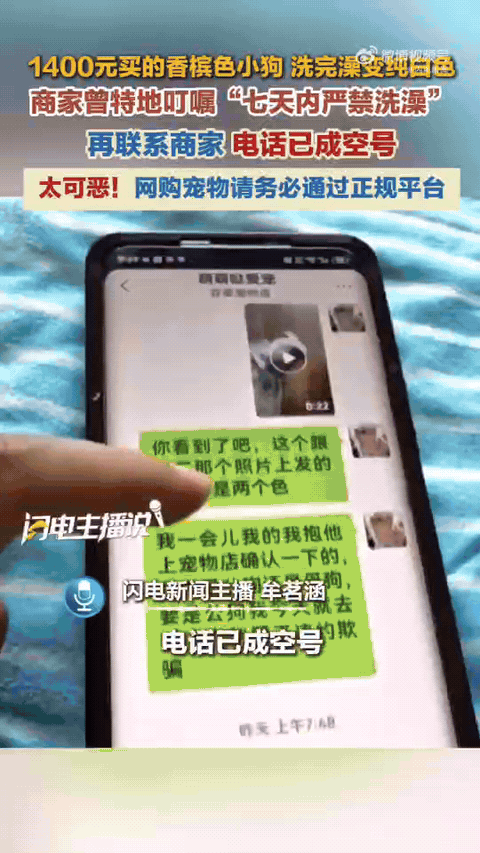 太离谱了！哈尔滨男子花1400元网购香槟色小狗，商家千叮万嘱七天不能洗澡，万万没