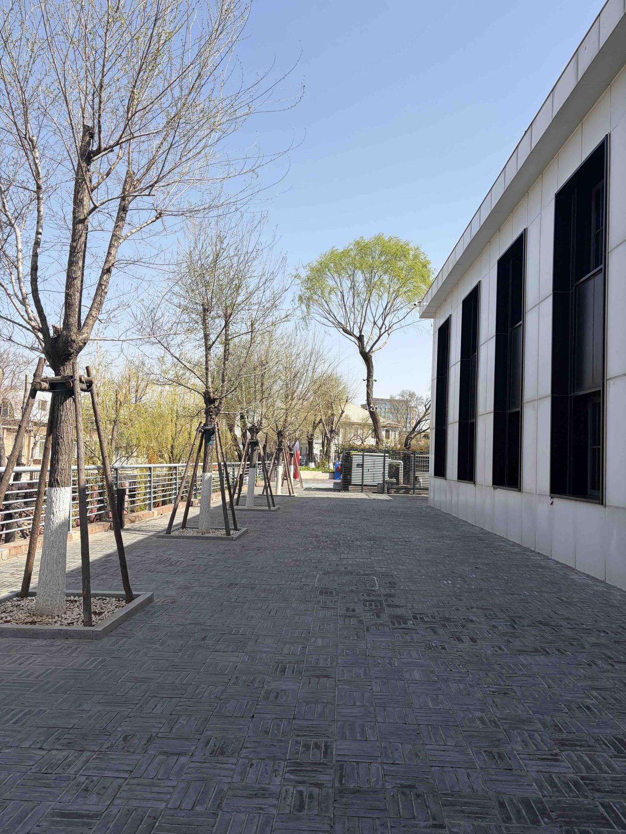 春色
春色撩人柳色新，
和风荡漾甚怡人。
出门走走看风景，
鸟语花香香满襟。