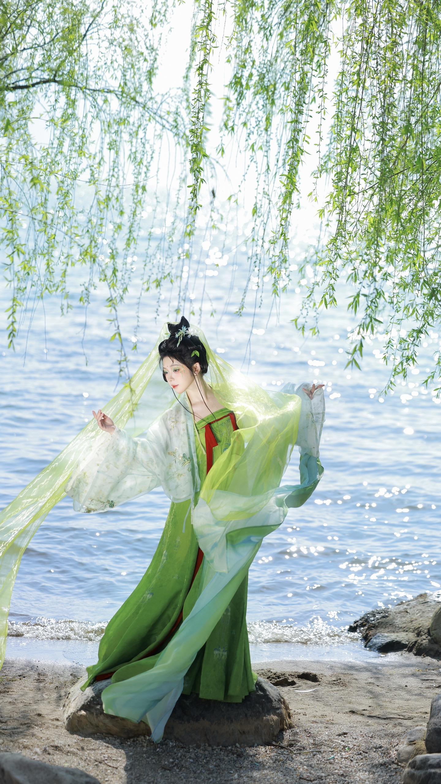 万条垂下绿丝绦🍃。在大理的海边遇到了春和景明