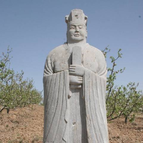 秦岭云