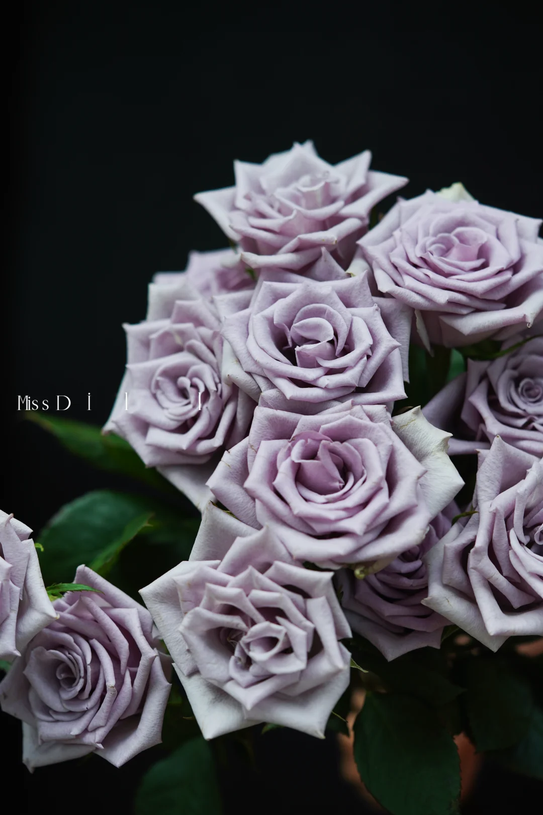 我那紫色的梦中情花💜