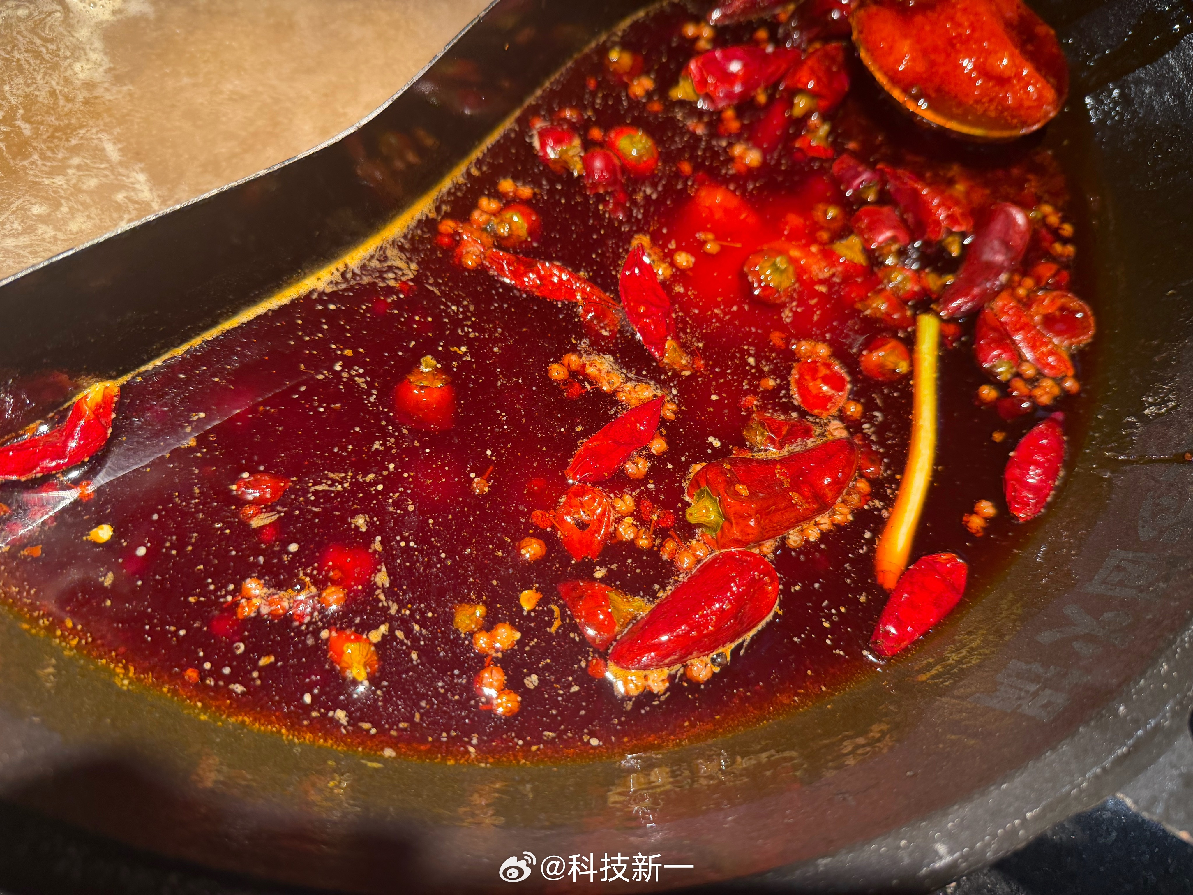 出来吃个重庆火锅，看这些辣椒，好担心我的菊花。重庆的朋友你们天天吃这个能受得了吗