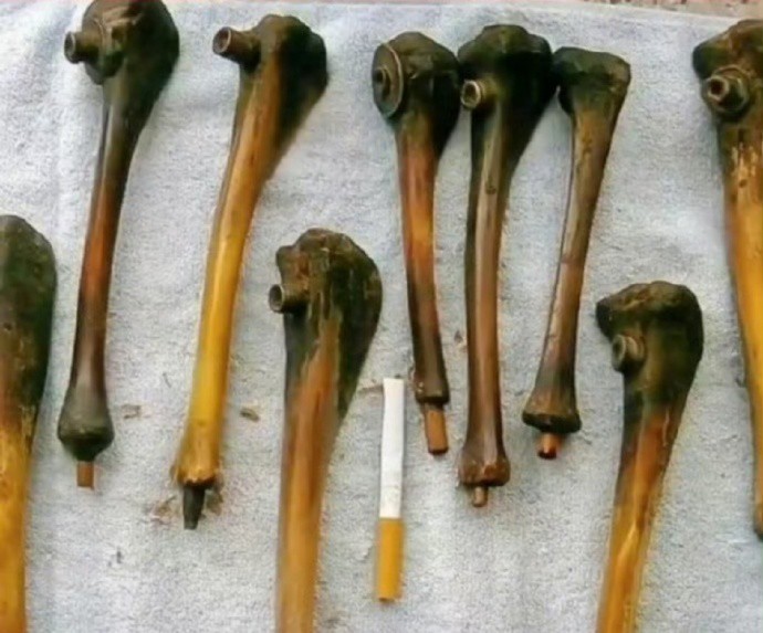 小日子曾把中国小孩的腿骨做成烟斗。铭记历史！我们没资格替先辈原谅他们！ 
