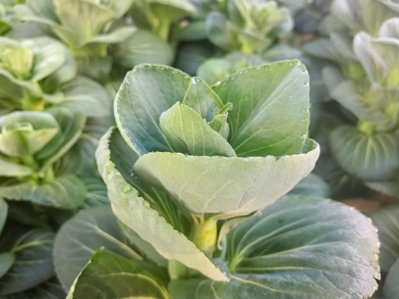 晒图笔记大赛起～