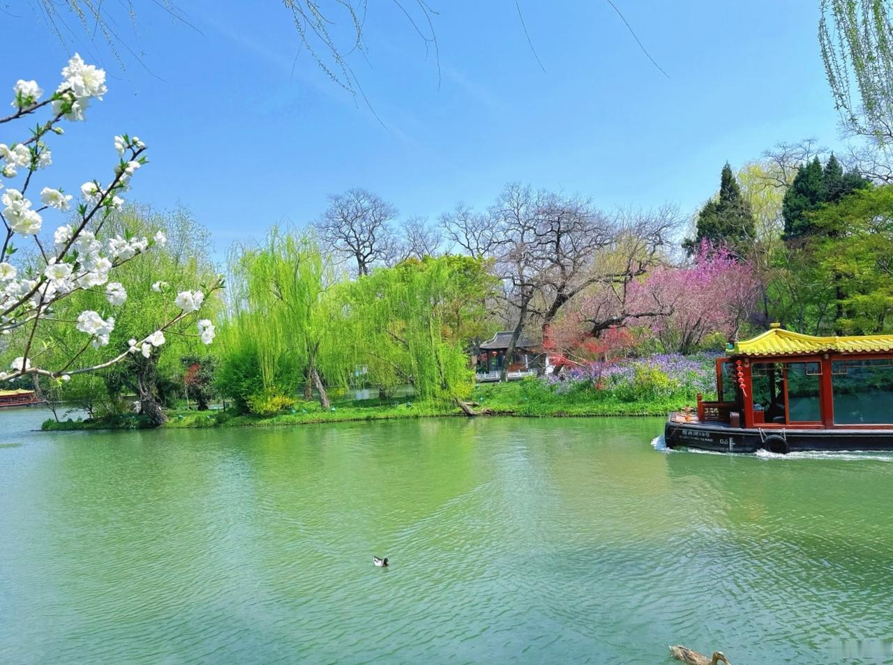 旅行随手拍我在公园里拍了一张。这张图片，够美的。