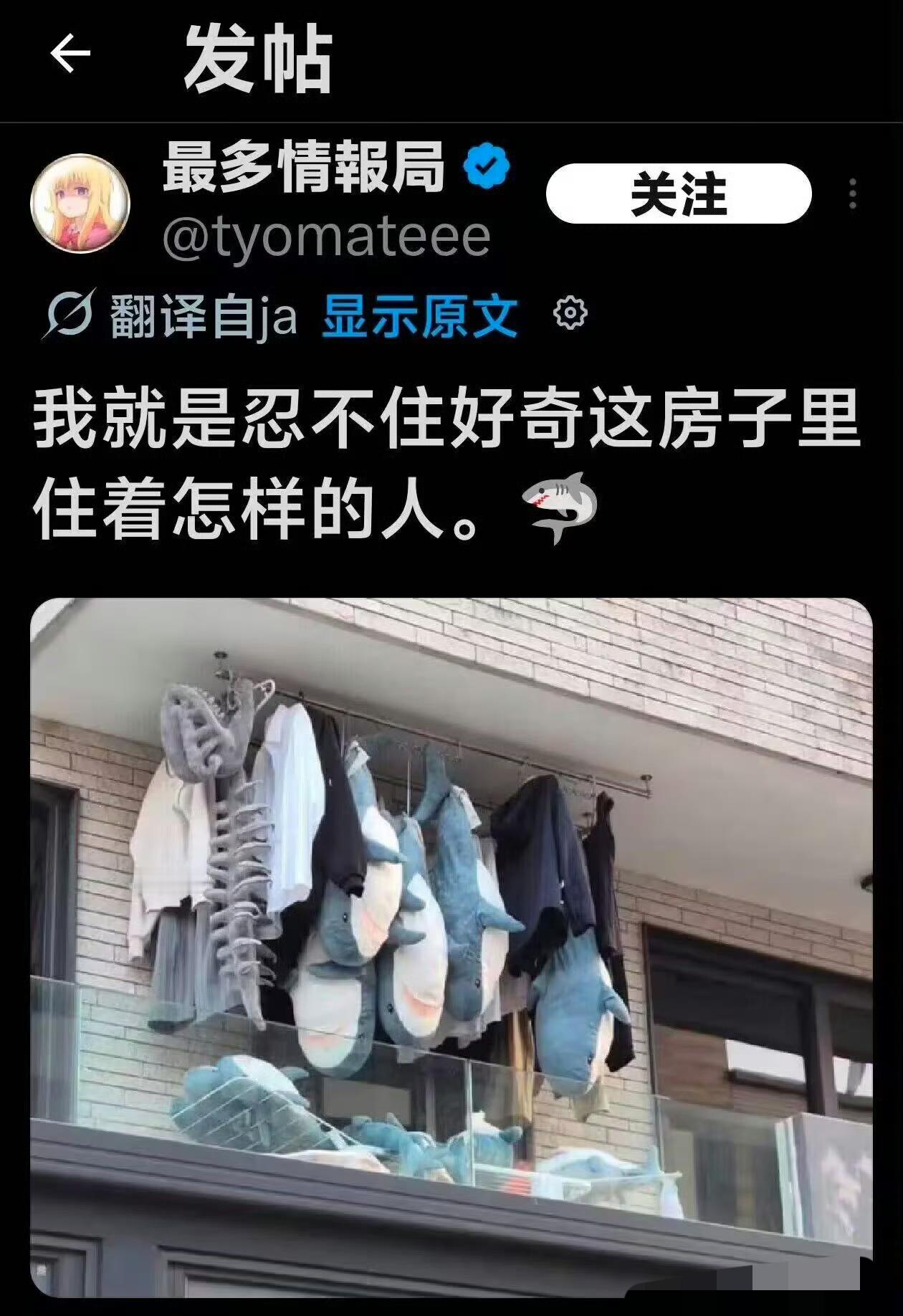 鲨鱼爱好者，我也买了几个挺可爱的
