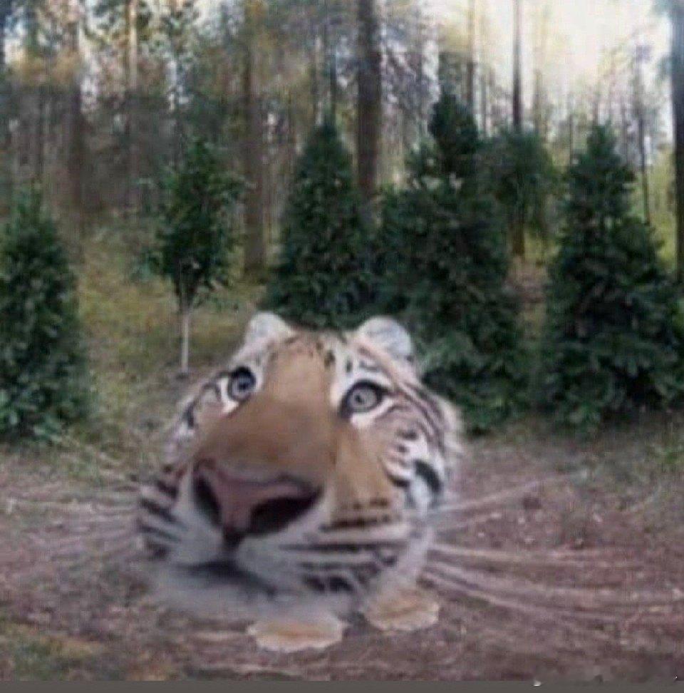 第五人格[超话] 抽个月卡宝宝们 今天大家心情如何   