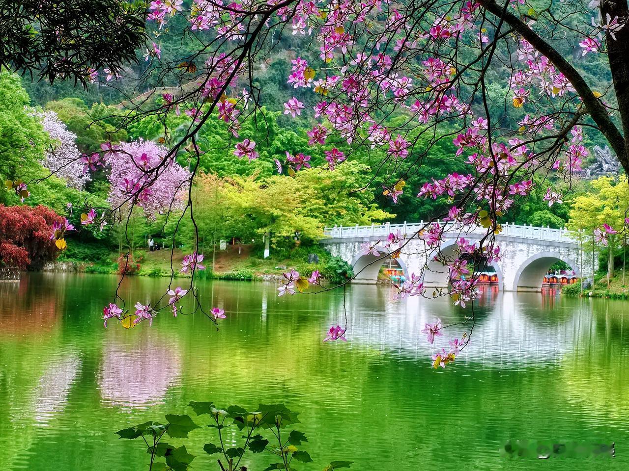 晒图笔记大赛四月的柳州龙潭公园风景