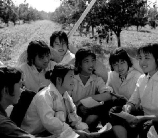 1979年，天津知青为了回城，狠心抛夫弃女！但35年后，她却在医院意外碰见前夫，