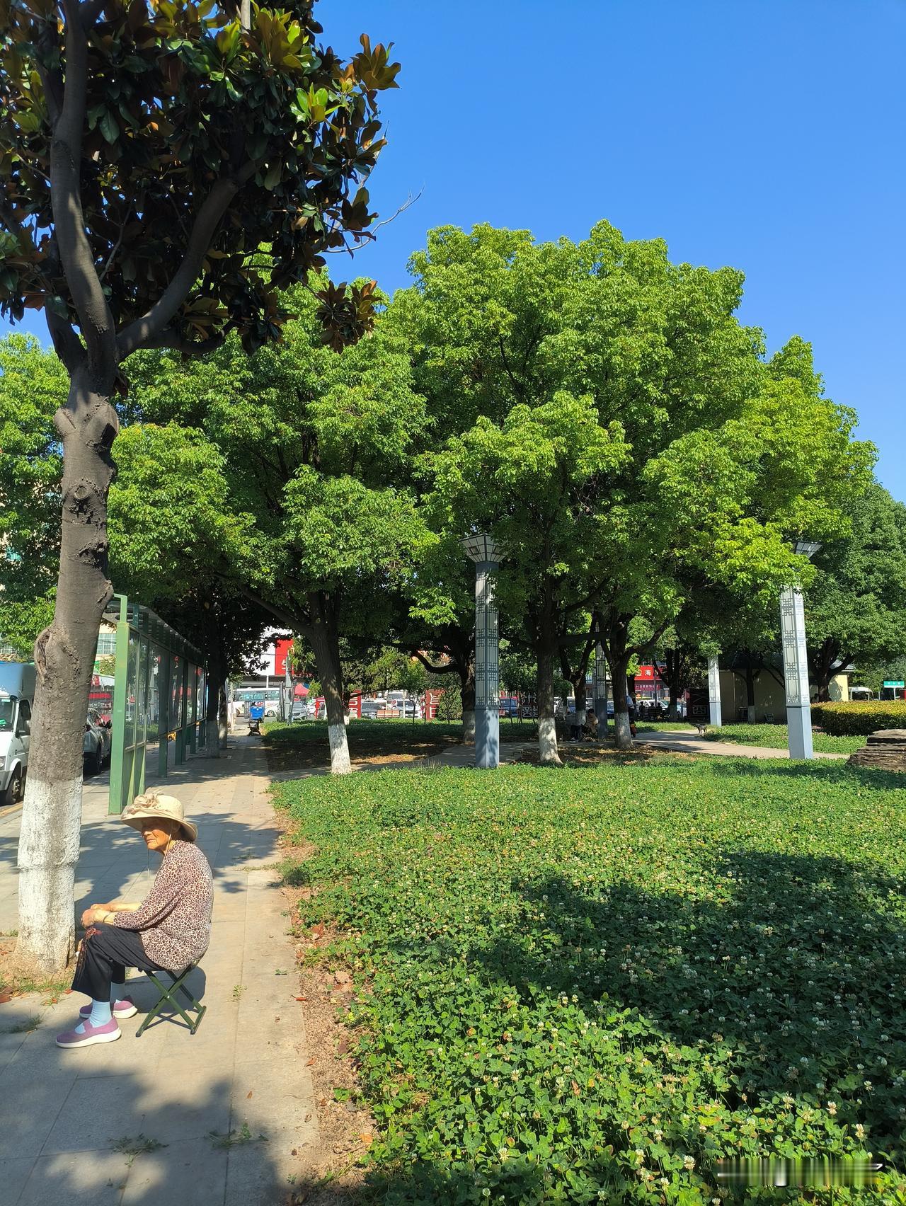 经过一小公园，这么热的天，见一老太太坐在太阳下。我就想:是不是老太太年龄大了，糊
