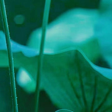 早安 ♡ 做自己热爱的事情， 不断的滋养自己。 心情好，状态好， 一切都好。