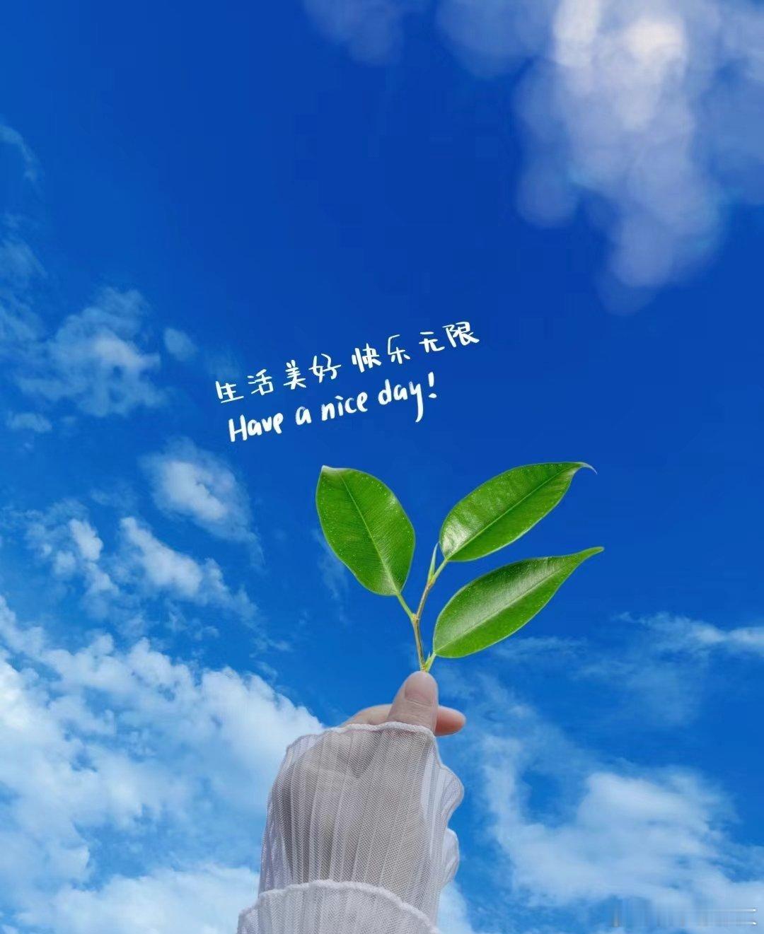 #言情小说[超话]##言情小说[超话]#2024.06.30今日份小说110本?