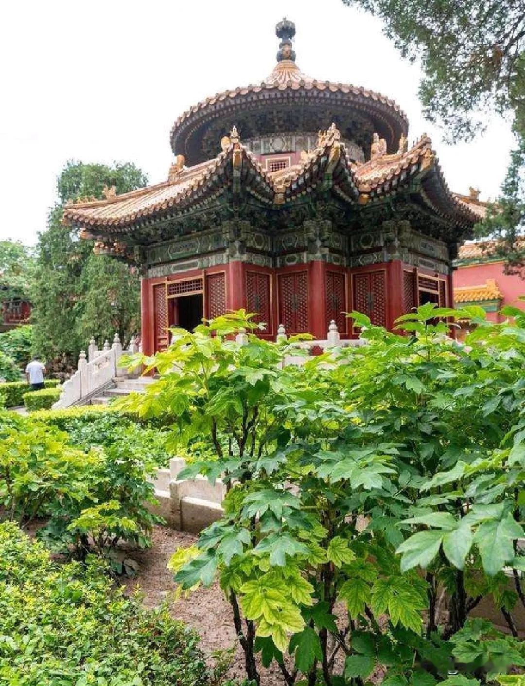 旅游小知识：故宫博物院有几座花园？
      故宫不但有宫有殿，还有几处精致的
