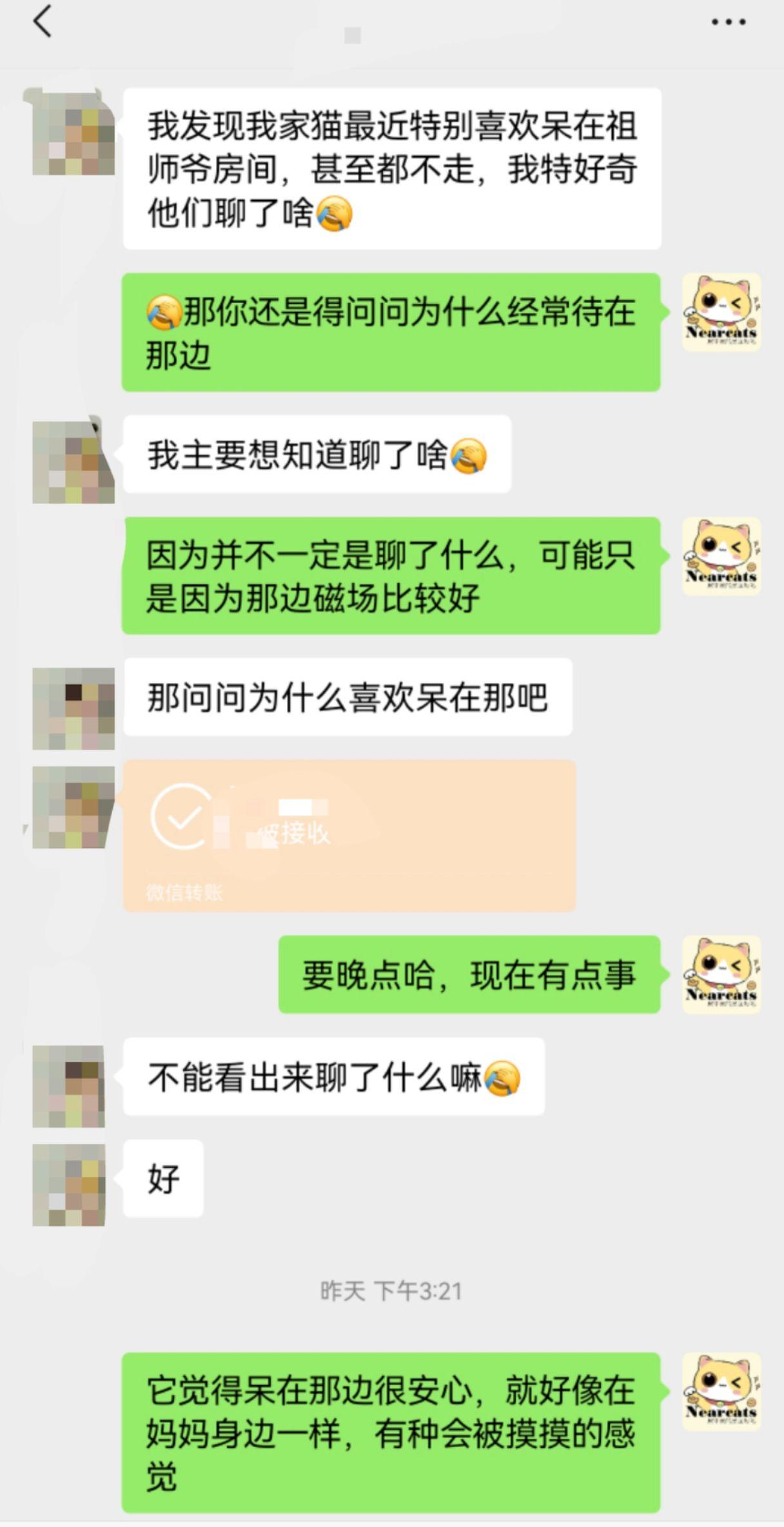 祖师爷也喜欢撸猫～