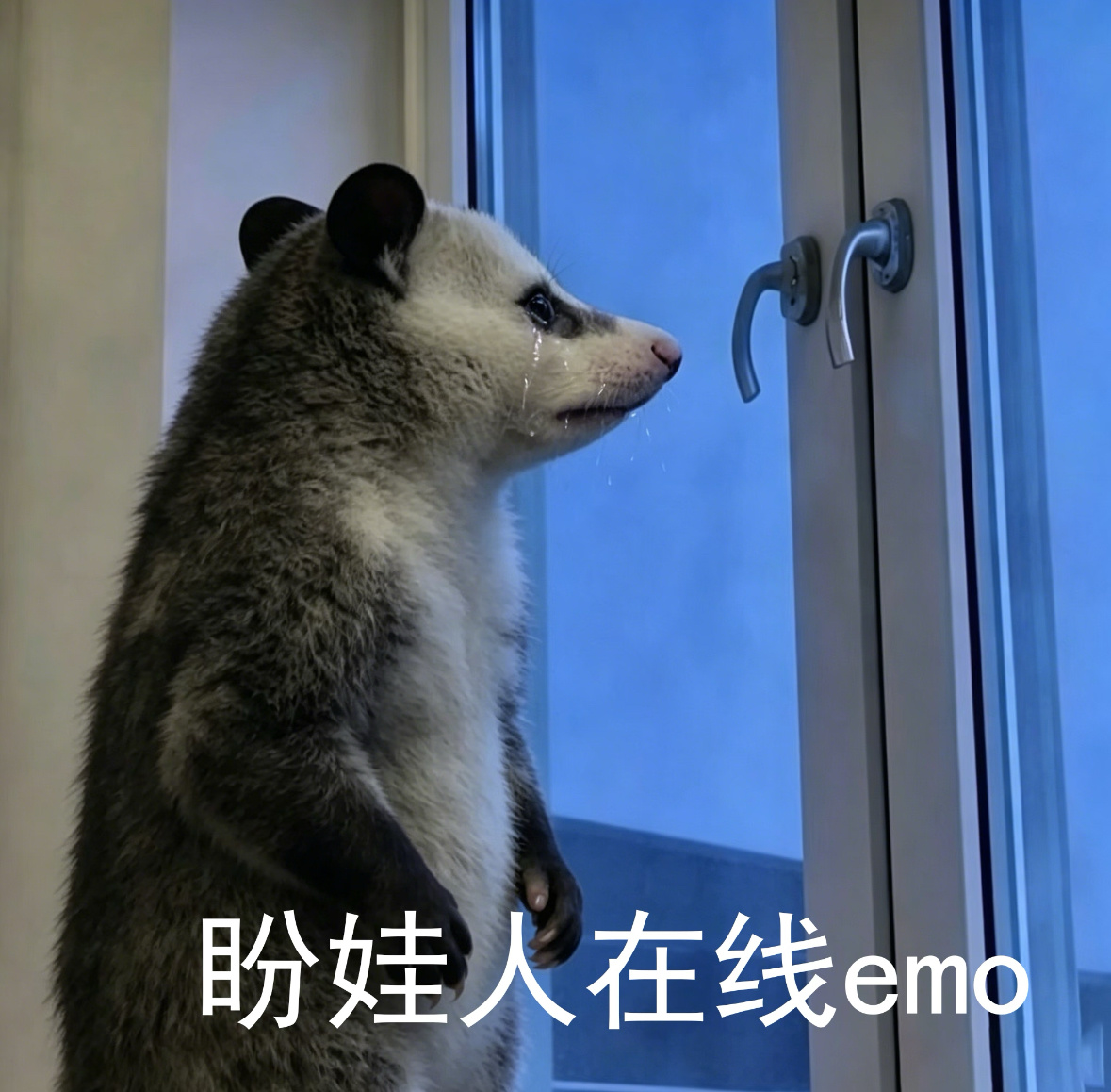 我孩子还没下课吗[抓狂] ​​​