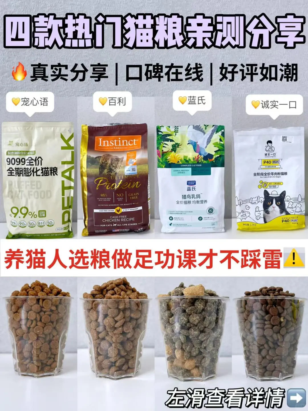 选猫粮不迷茫！四款热门猫粮亲测分享