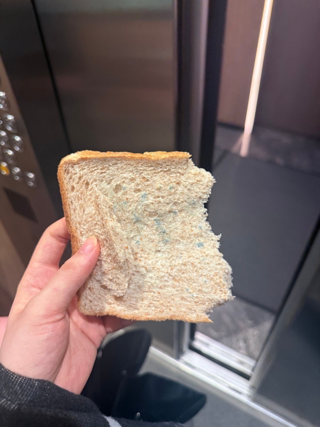 误食了一块发霉的🥯  很爱吃冰的就对了 吃一顿饭点三杯冰的！ 爱吃奶油意面！ 