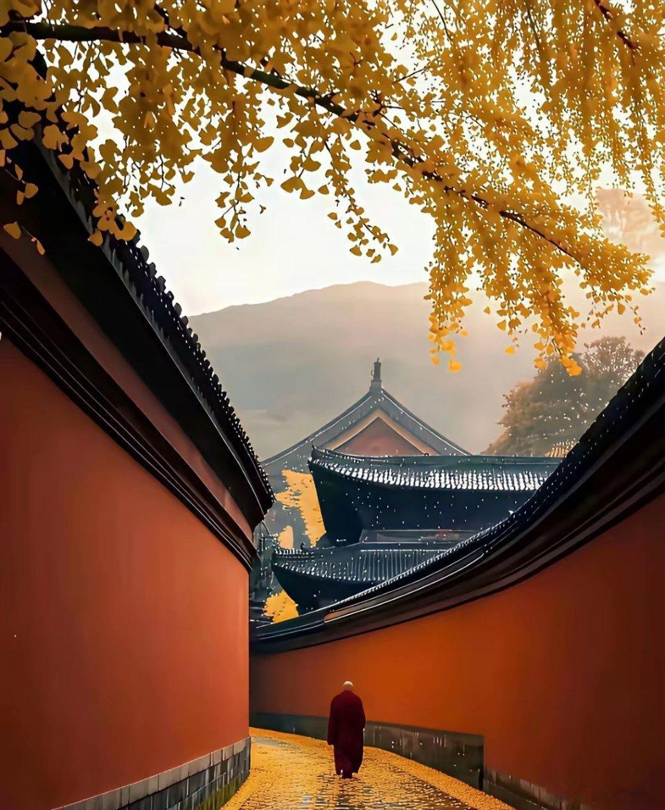 人生，总要有点遗憾，不然老了，拿什么来谈曾经。[心] ​​​