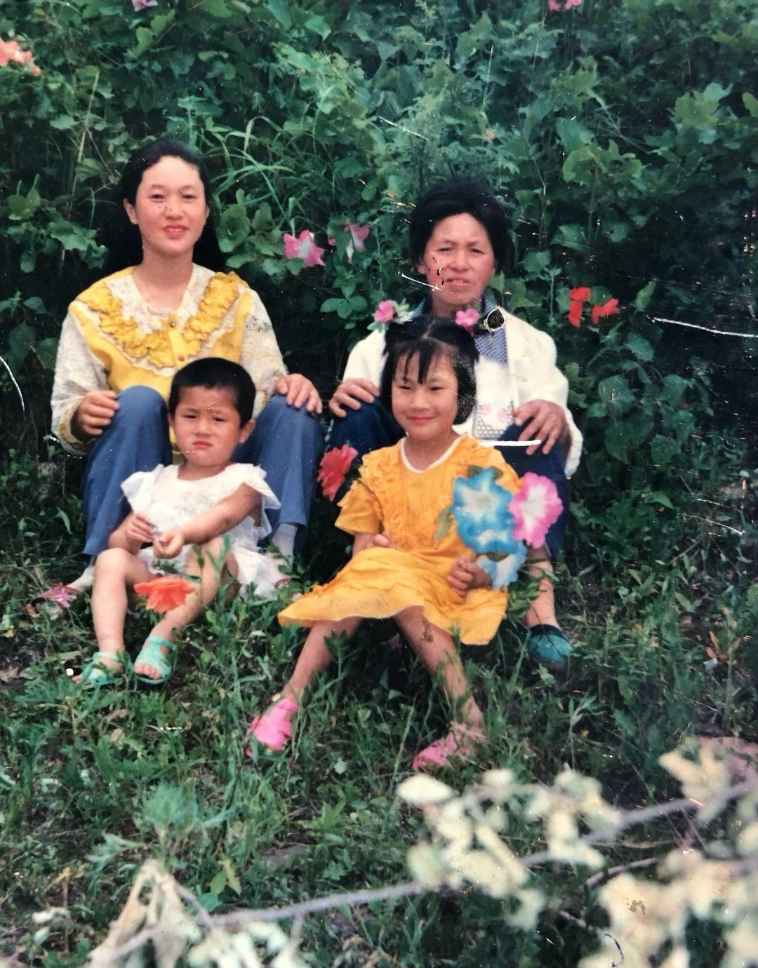 仙洋发文：这一路我们家三起三落，跌跌撞撞，可幸的是你们还在，3484大舞台未来可