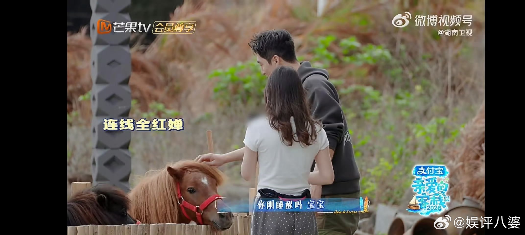 没睡醒的全红婵被迫营业😆谁还没嗑到这对跳水姐妹花!张家齐刚发现客栈新鲜事，火速