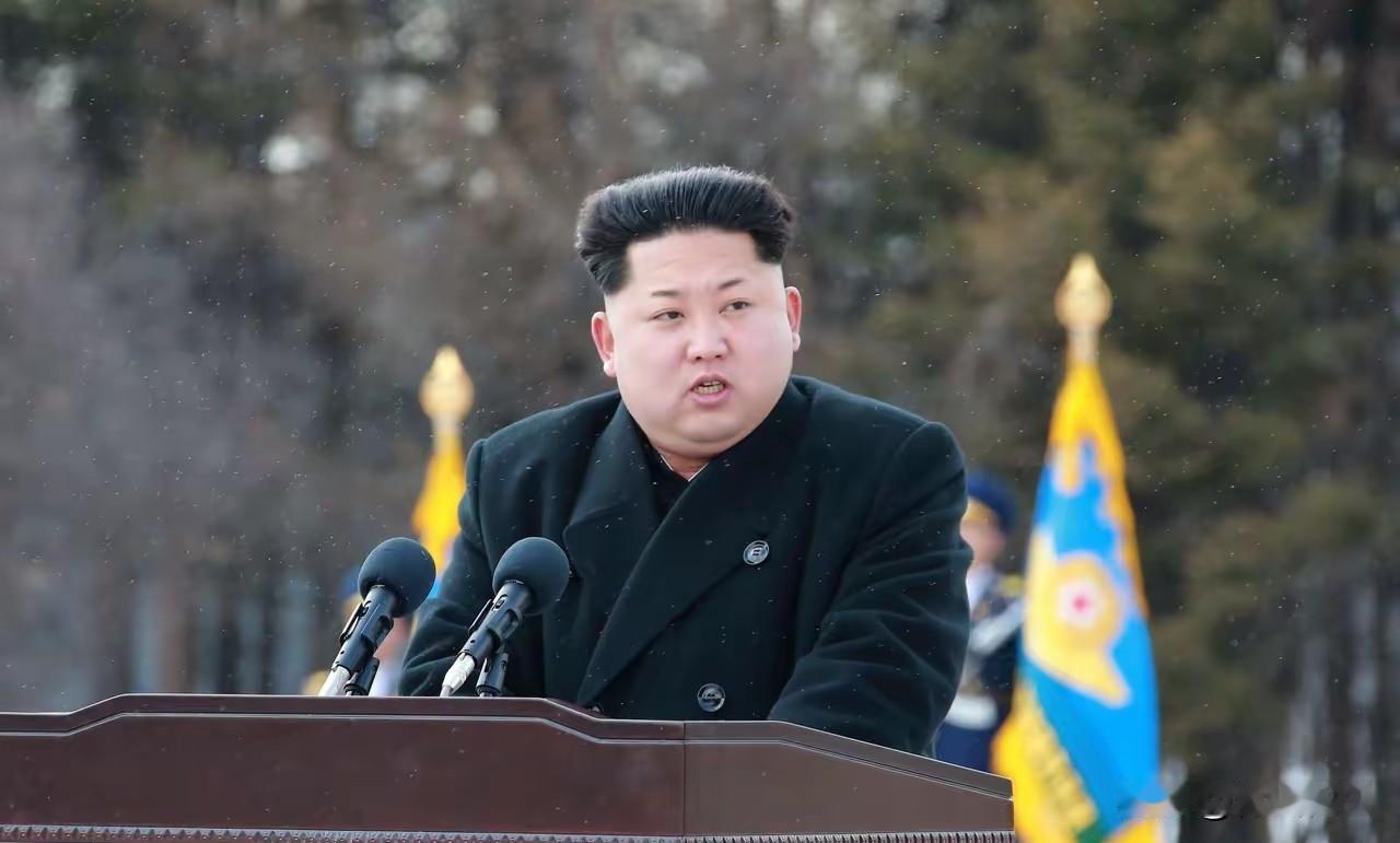 日本这是要碰核按钮？朝鲜直接炸锅了！刚看到朝中社发的最新警告，说日本正在试探性突