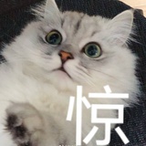 米炫炫逛逛汽车