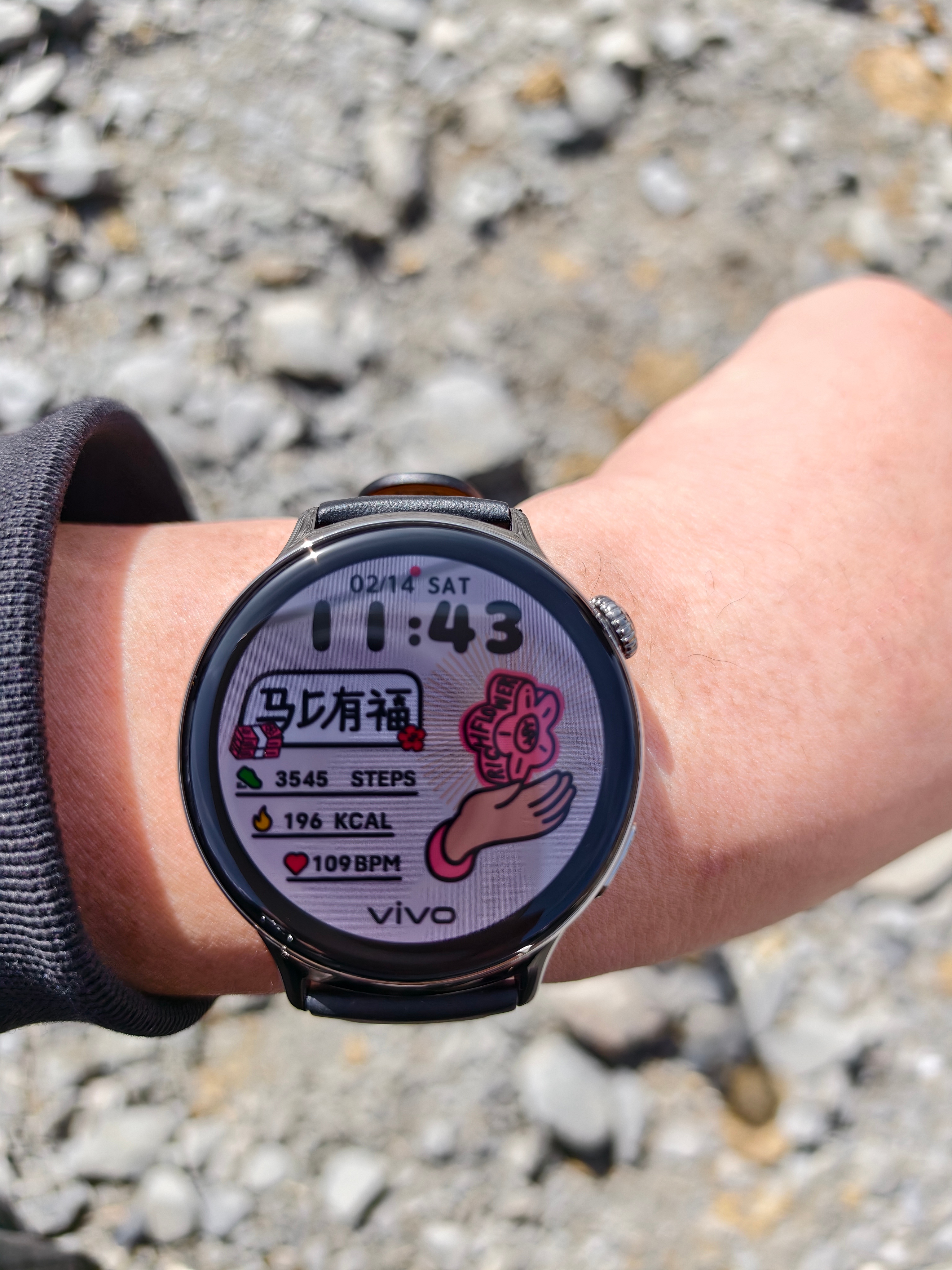 心率105还可以 干就完了 海北·岗什卡雪峰