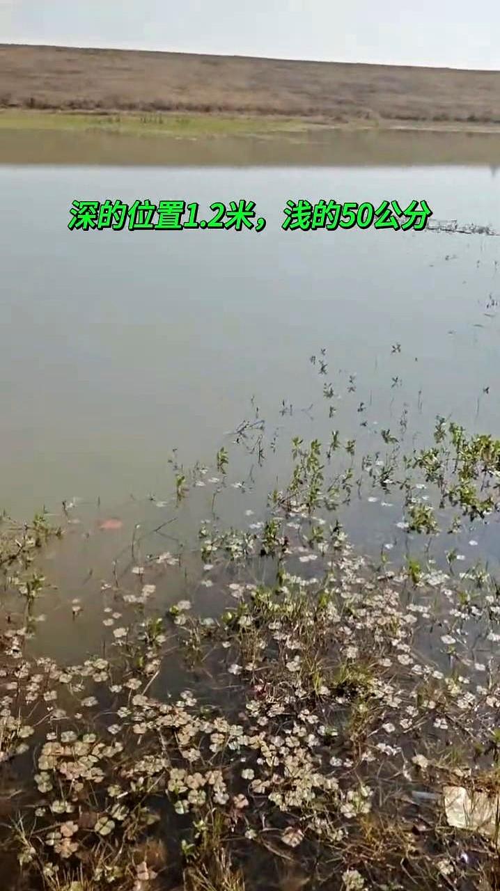 赣江钓鲫鱼，左下角才是版本答案！

老钓友都懂，想在赣江公园爆护，别乱选位置。南