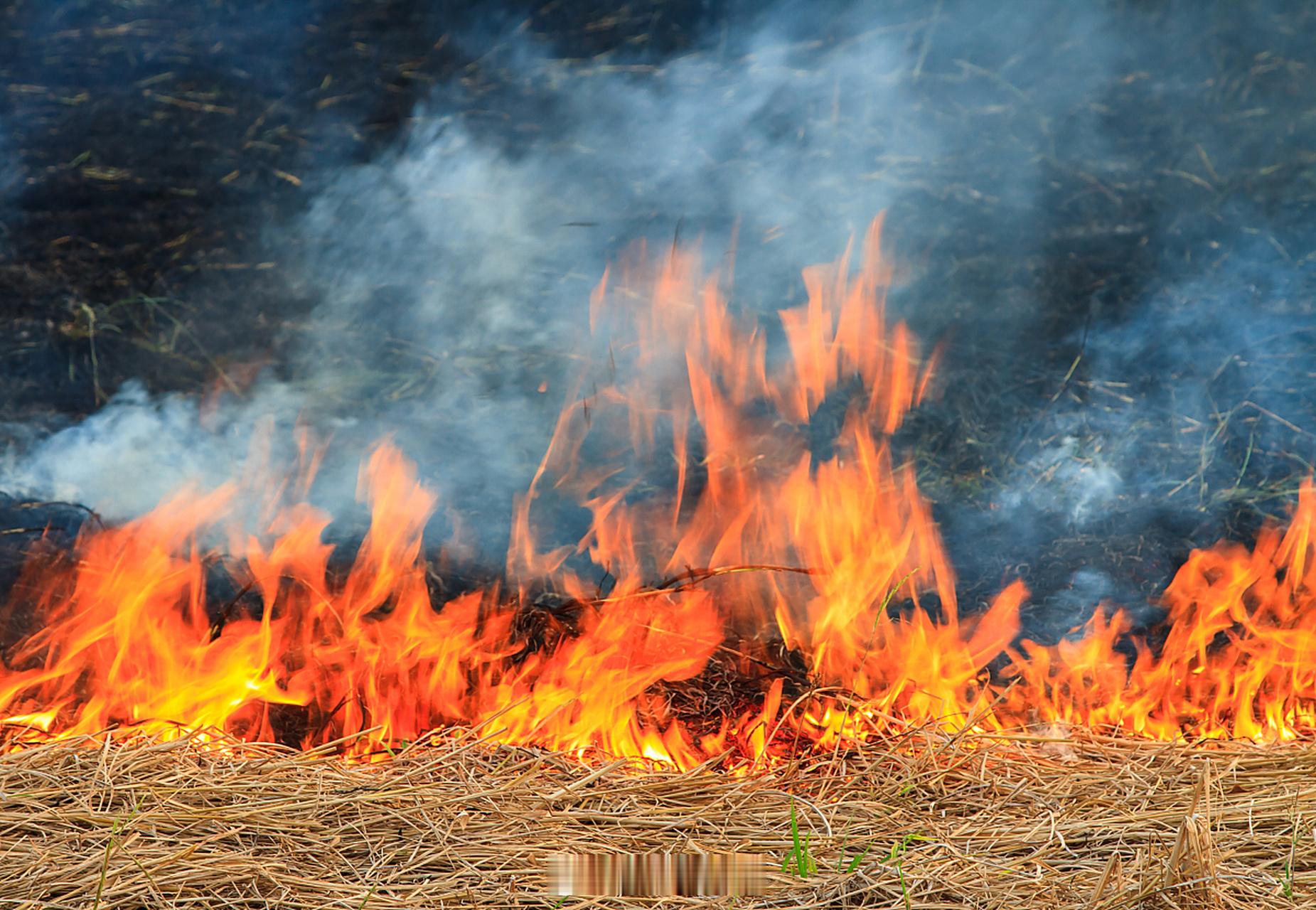 研究称烧秸秆能控制超级细菌传播近日，北京师范大学研究发现，秸秆燃烧形成的黑炭能抑