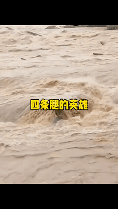 万物皆有灵！敬畏自然[星星眼]