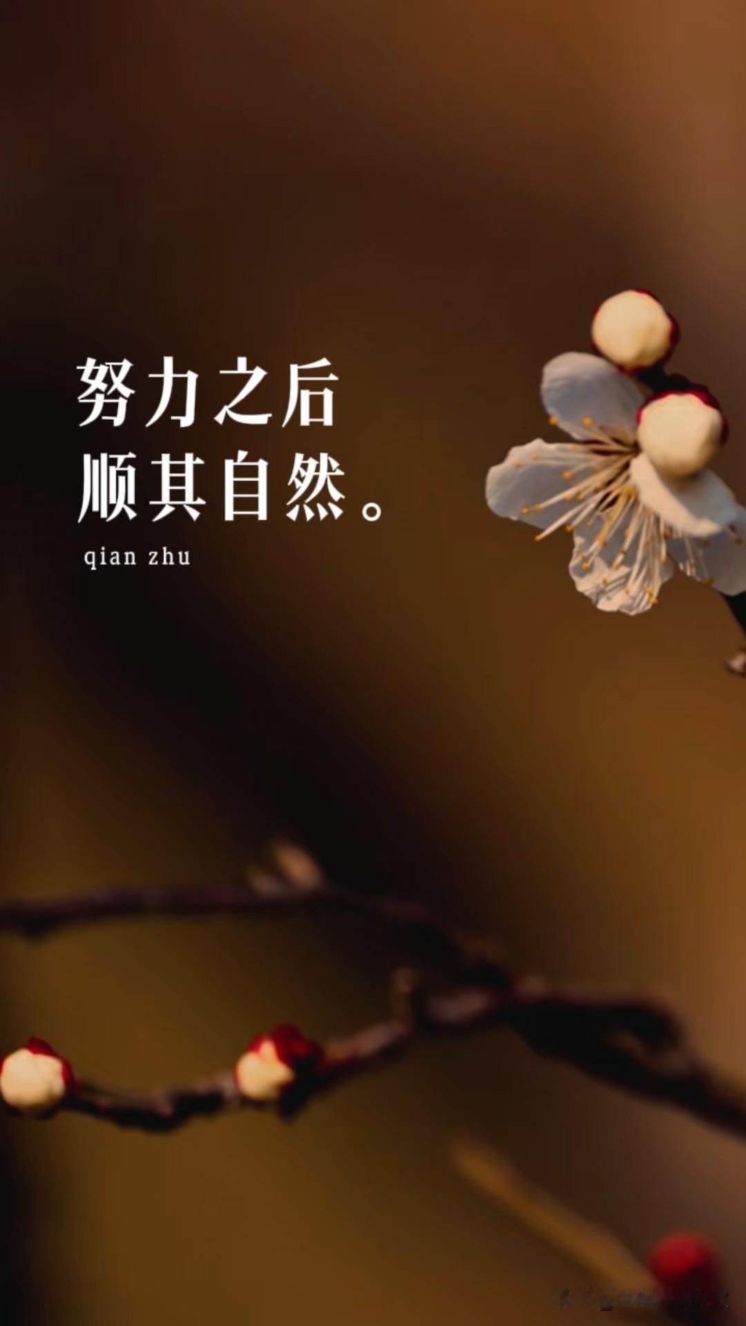 说实话，从提笔到收尾，整整13天，我硬是憋出了25篇关于五菱星光的征文。

今天
