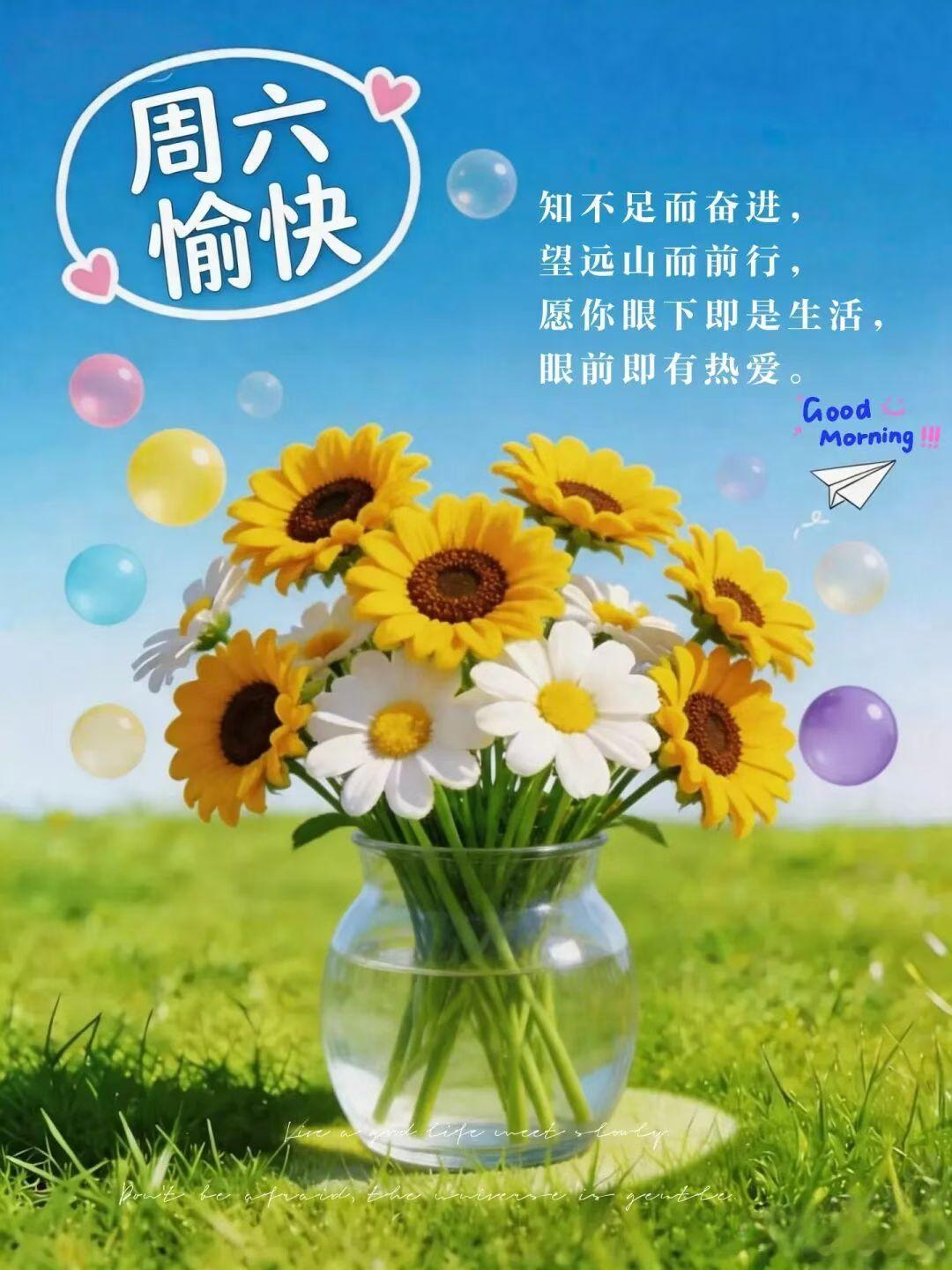 🍒²⁰²⁶/₀₆.₀₆ ᵕ̈ 🌈六六大顺周末到，好运如风常围绕。愿今日事事顺
