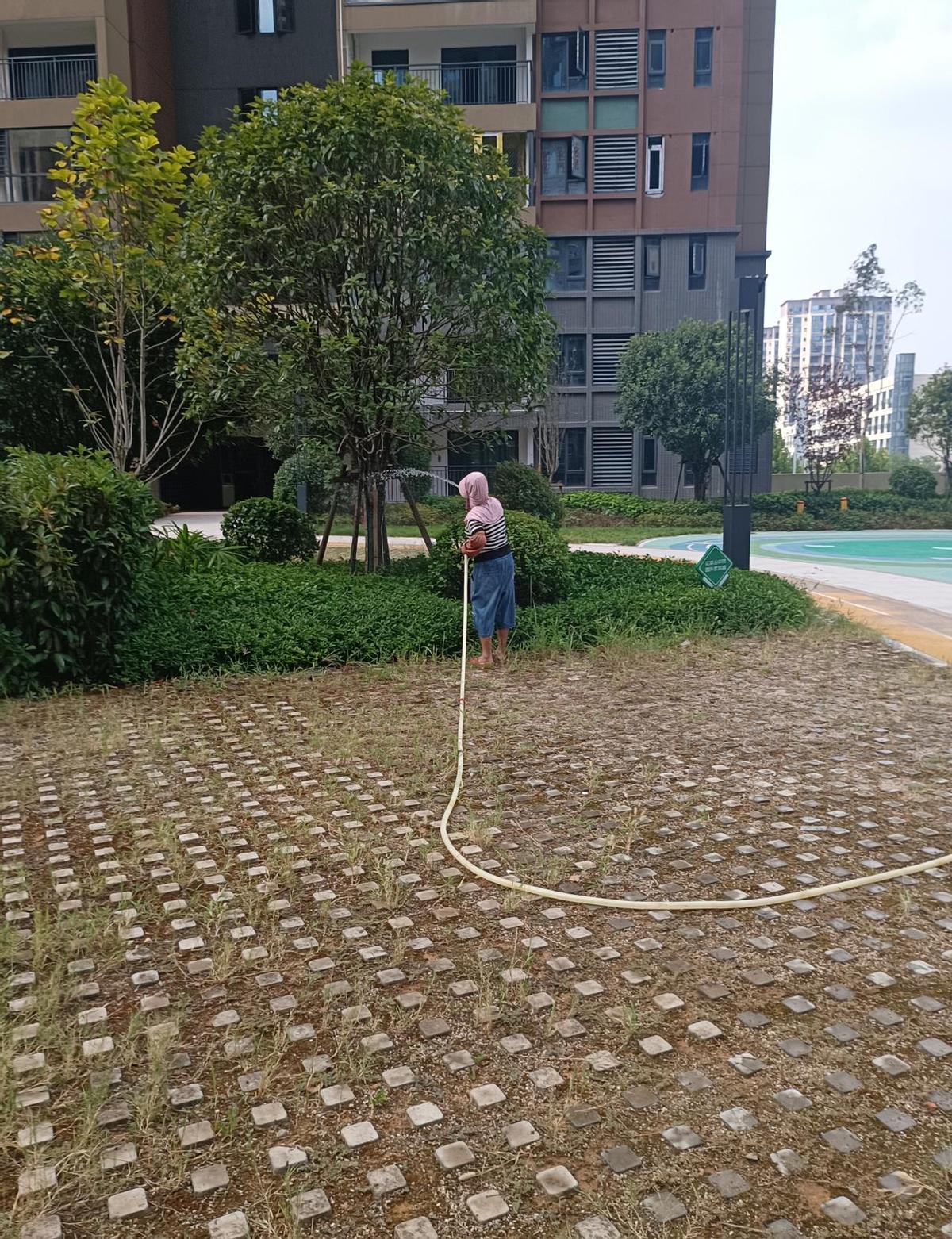 保安不是超人，但天天被当超人使。
队长微信秒回，业主电话秒接，狗屎得自己铲，工资