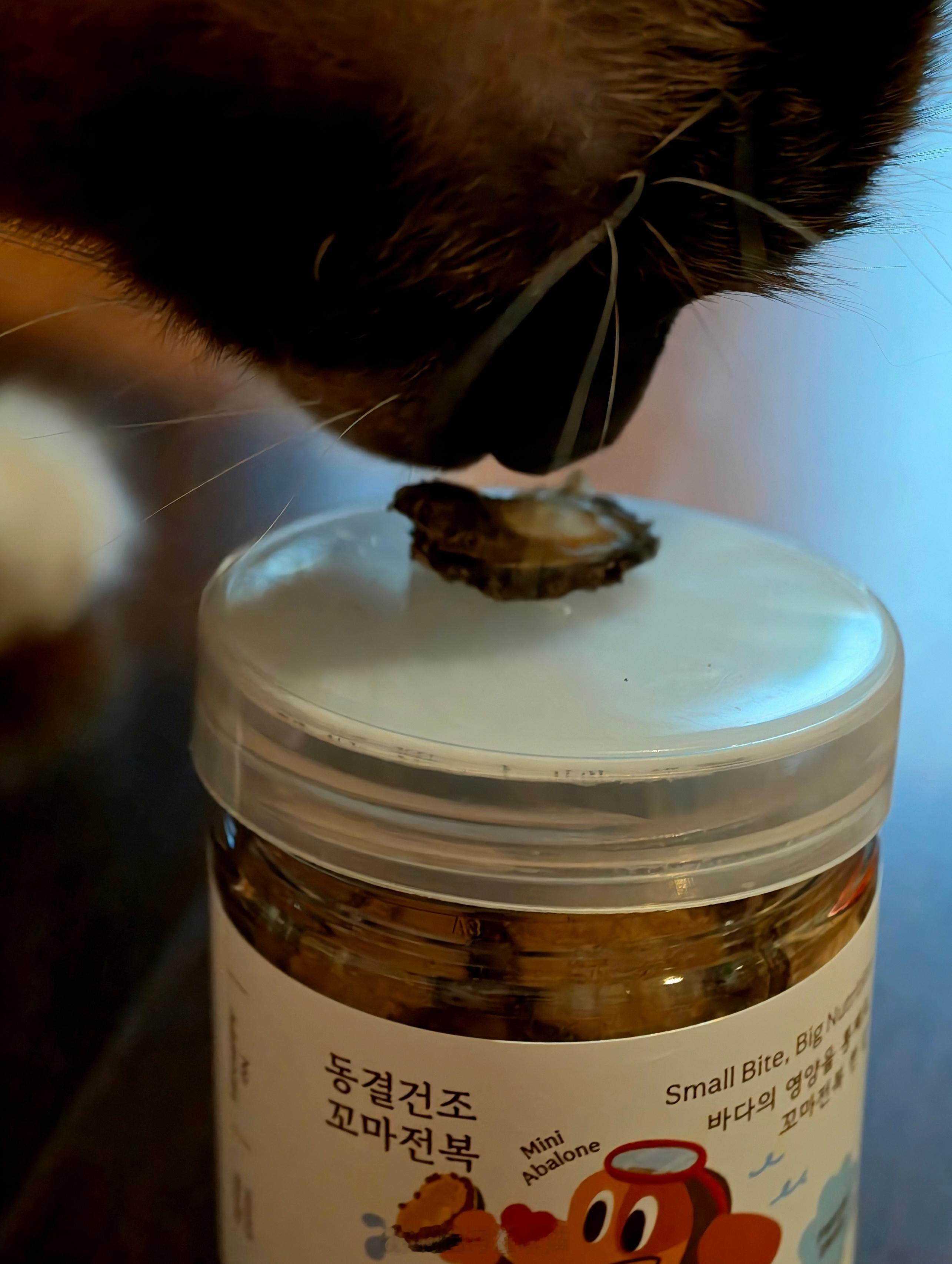 迷你鲍鱼脆脆的像小饼干 闻起来像海苔猫不吃 