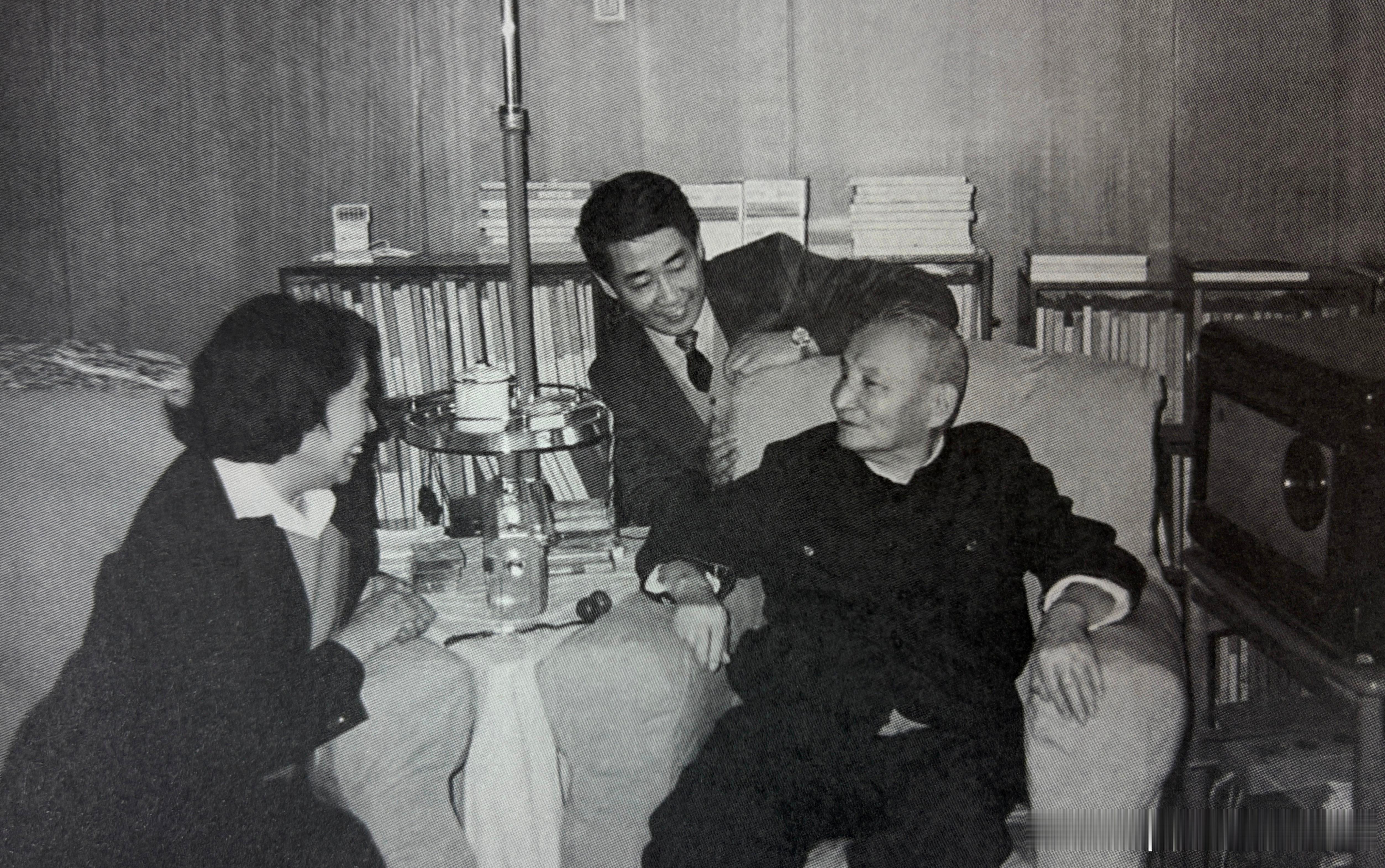 80年代王光美、刘源在陈云家中座谈历史影像