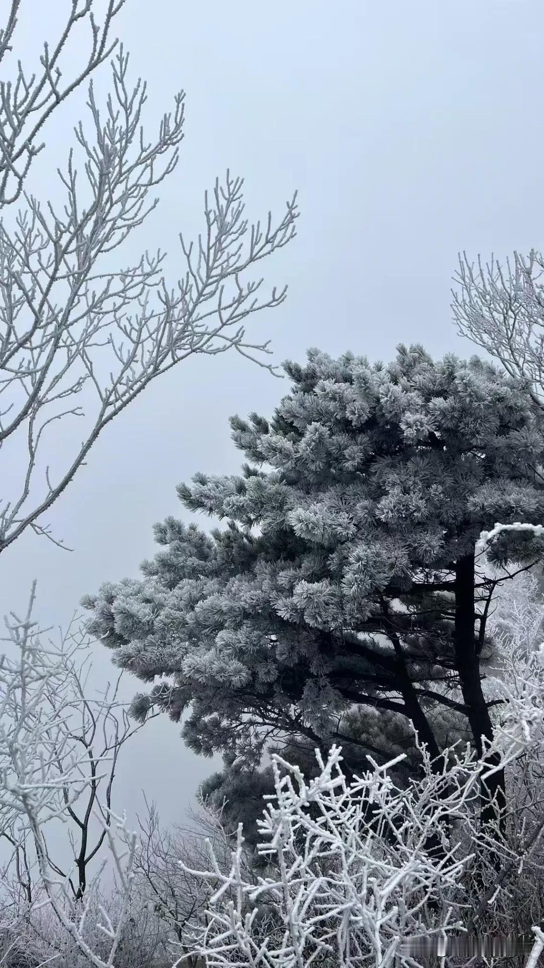 今天是初六，也是春分，感觉今天比较重要。

今天的天气也特别好，从年前的26，2