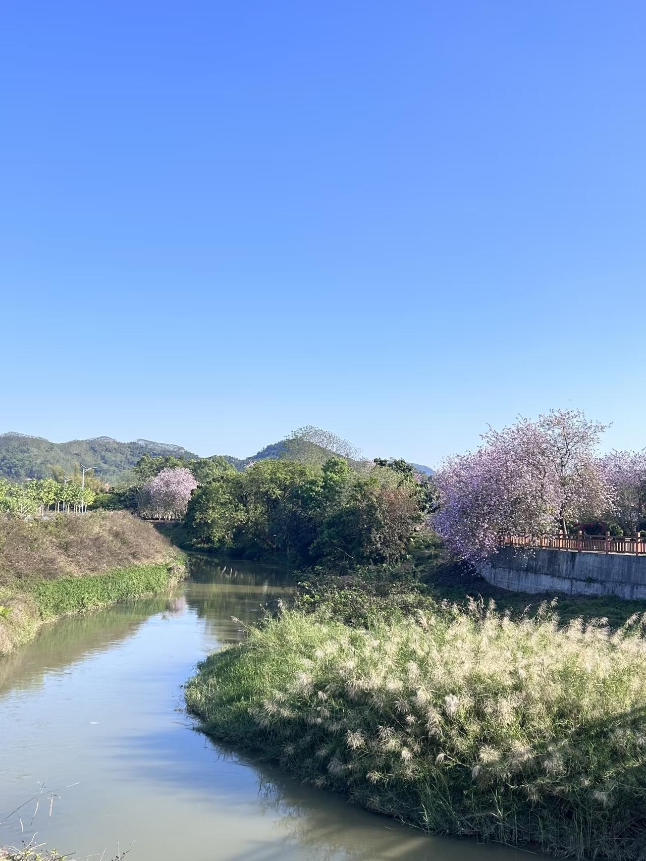 我觉得上班挣钱，是为了不被生活裹挟，有能力选择自己想要的人生，大家说呢？