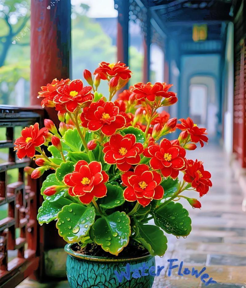 对联飞花令 长寿花
出句：攒眉憋紫增花力（雪浪）