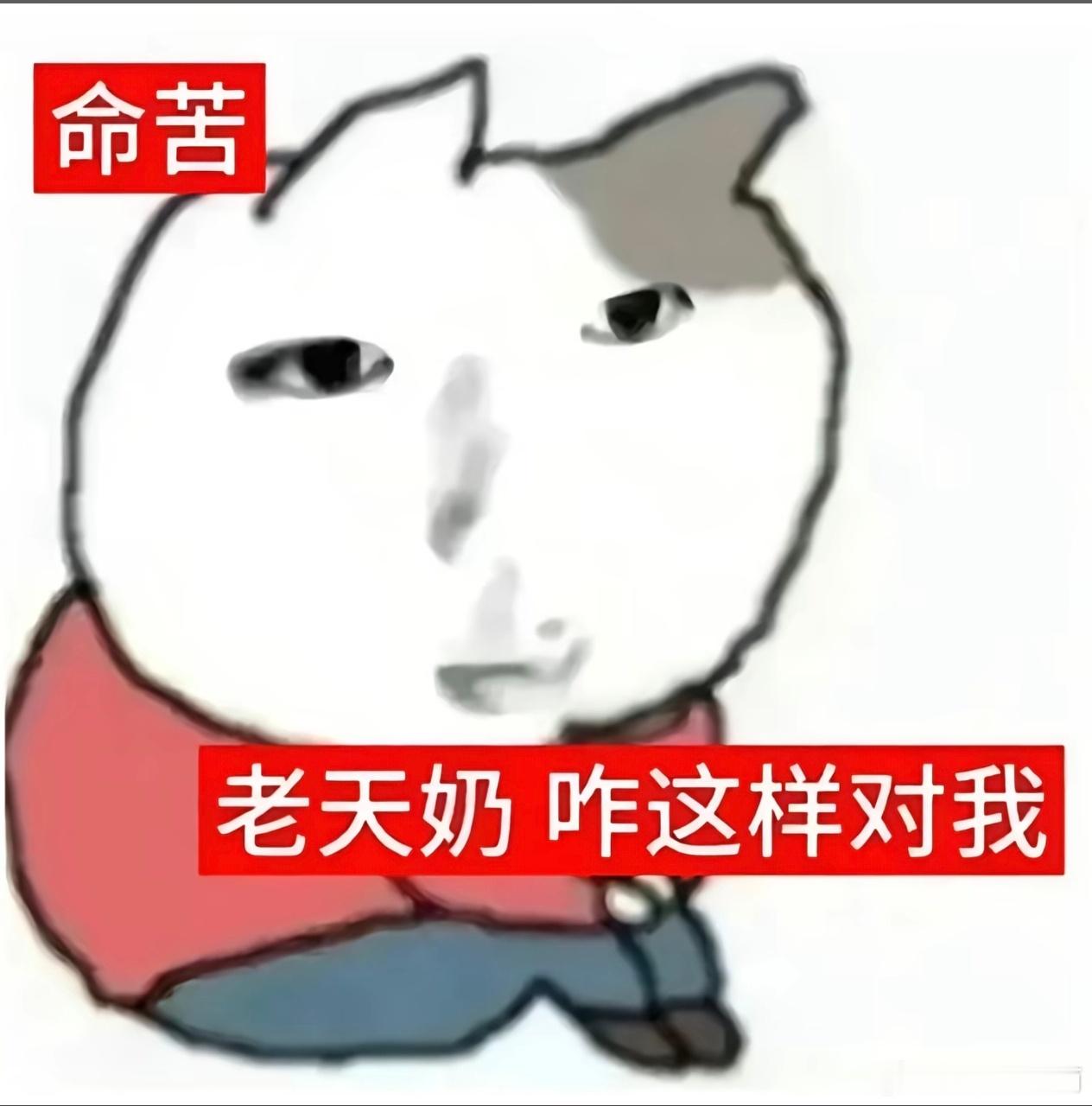 我真无奈，真不理解啊