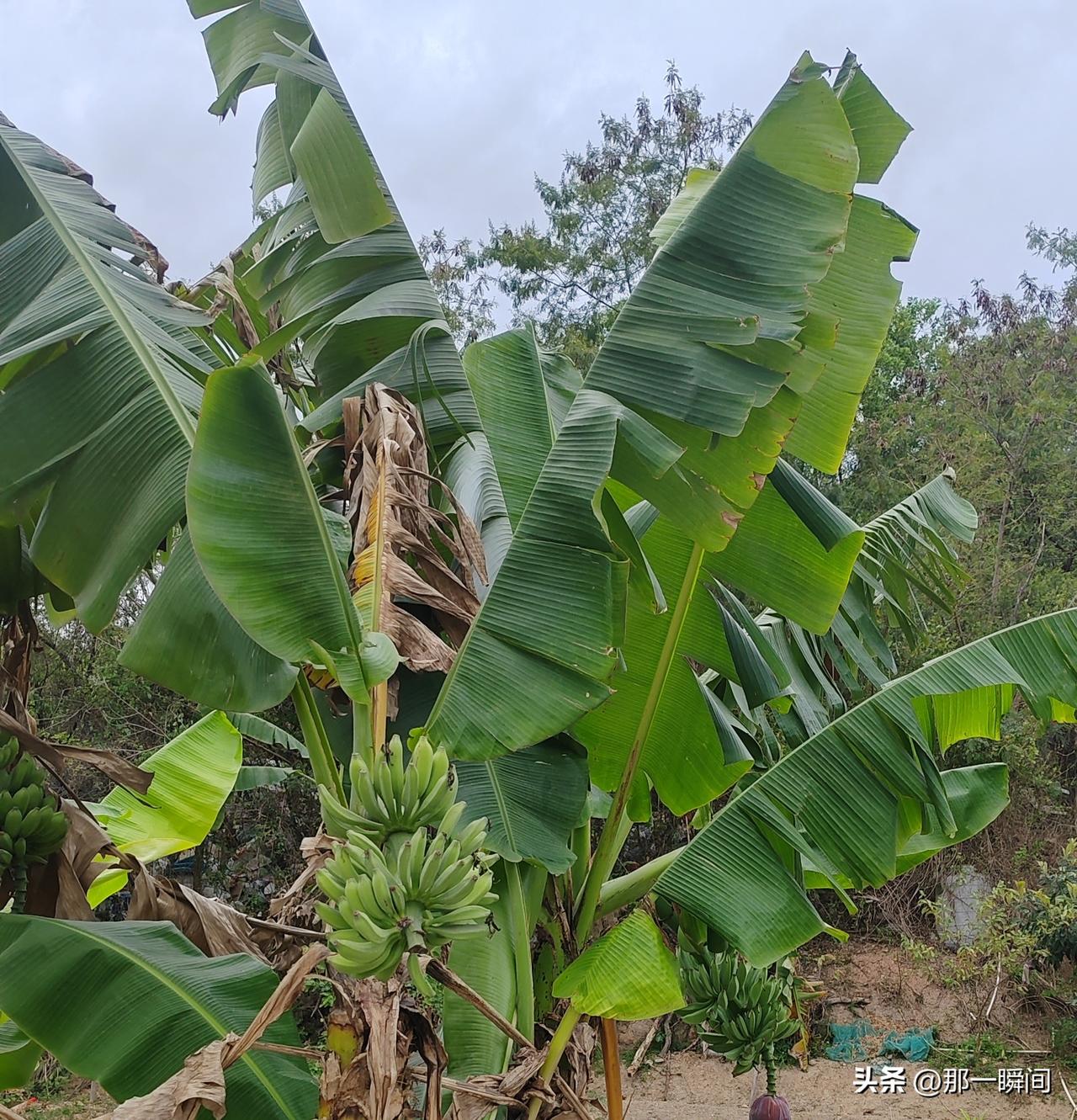之前一直以为深圳的消费很高，吃饭买东西比其他高很多，这次来深圳有了改观，可能是因