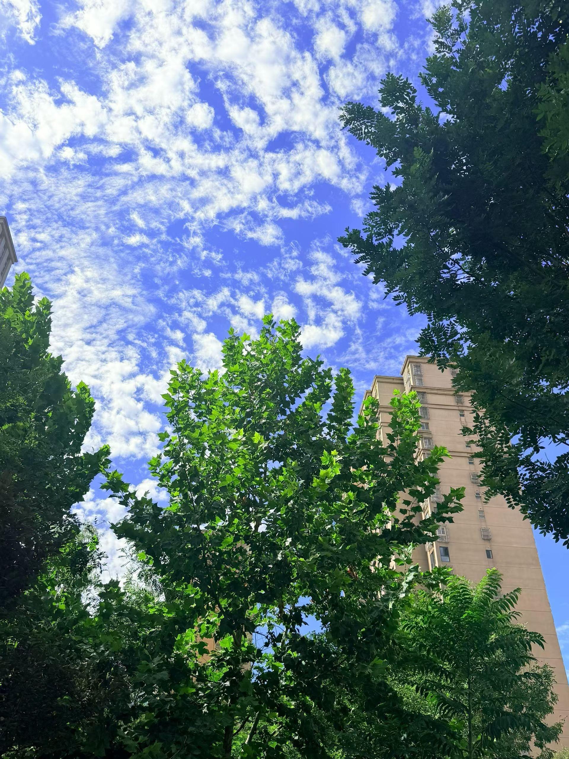 阳光正好，风也温柔。☀️☀️☀️ ​​​