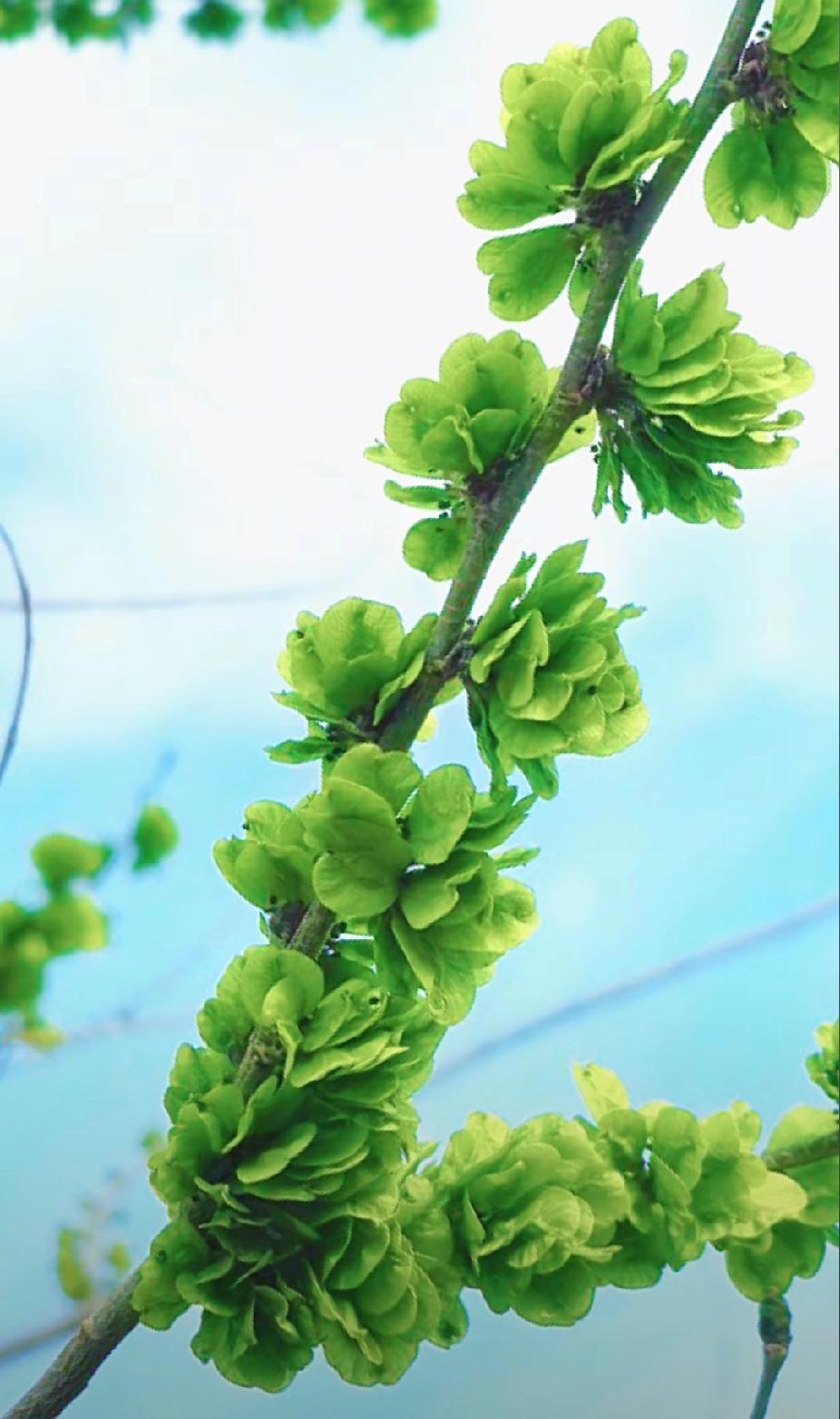 小老头：
见字如面，提笔为念！
 
岁月总像是蜿蜒的溪涧，日子就这样悄无声息地过